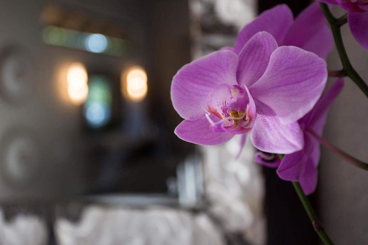 Moya Safari Villa 侯斯普瑞特 外观 照片
